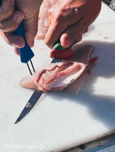 Kalapiikki  2-piikill&auml;